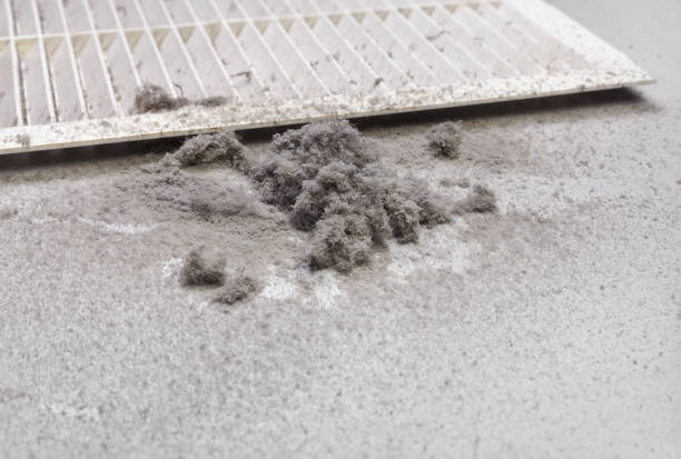 Best Air Duct Cleaning Near Me  in Columbiana, OH