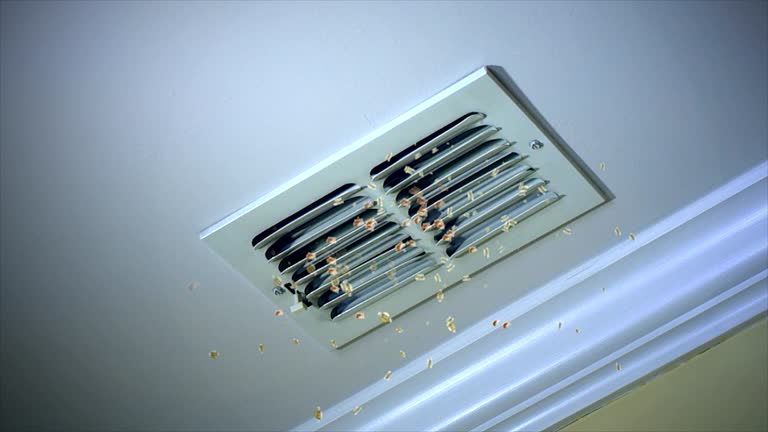Best Air Duct Inspection  in Columbiana, OH